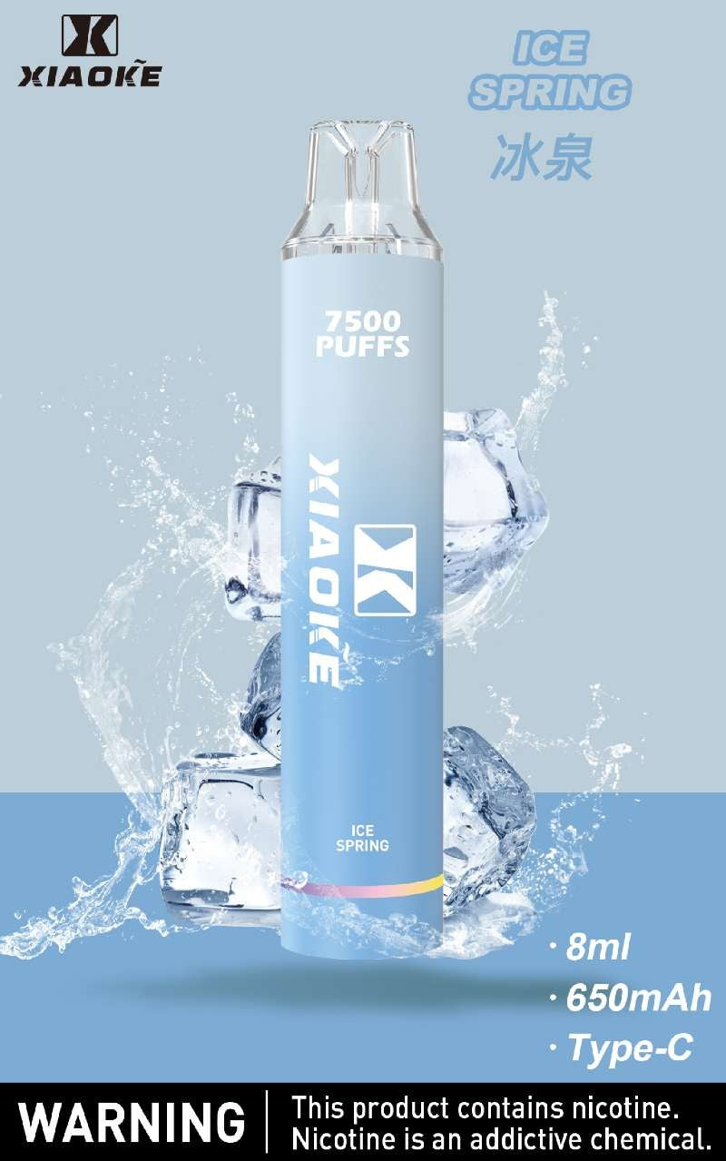 XIAOKE梟客拋棄式 新款一次性發光電子煙 多種口味電子霧化棒-VAKA糖果雲煙館